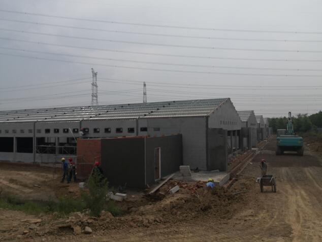 02.jpg