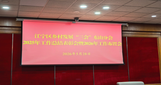 13cf0d4965464190a3e9481d80d9fc3a.webp.png