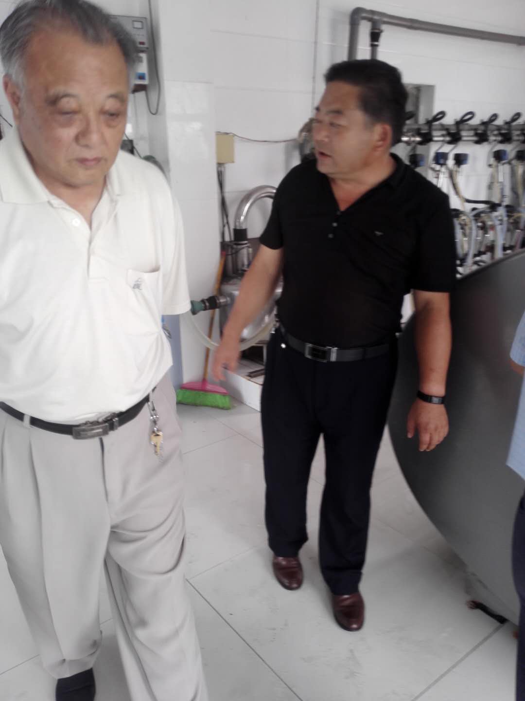 六合区三会在竹镇卫竹奶牛场调研市区支持竹镇乌石村增收基金使用落实情况
