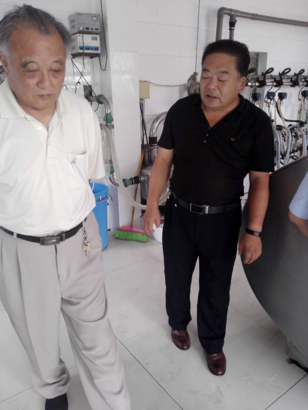 六合区三会在竹镇卫竹奶牛场调研市区支持竹镇乌石村增收基金使用落实情况