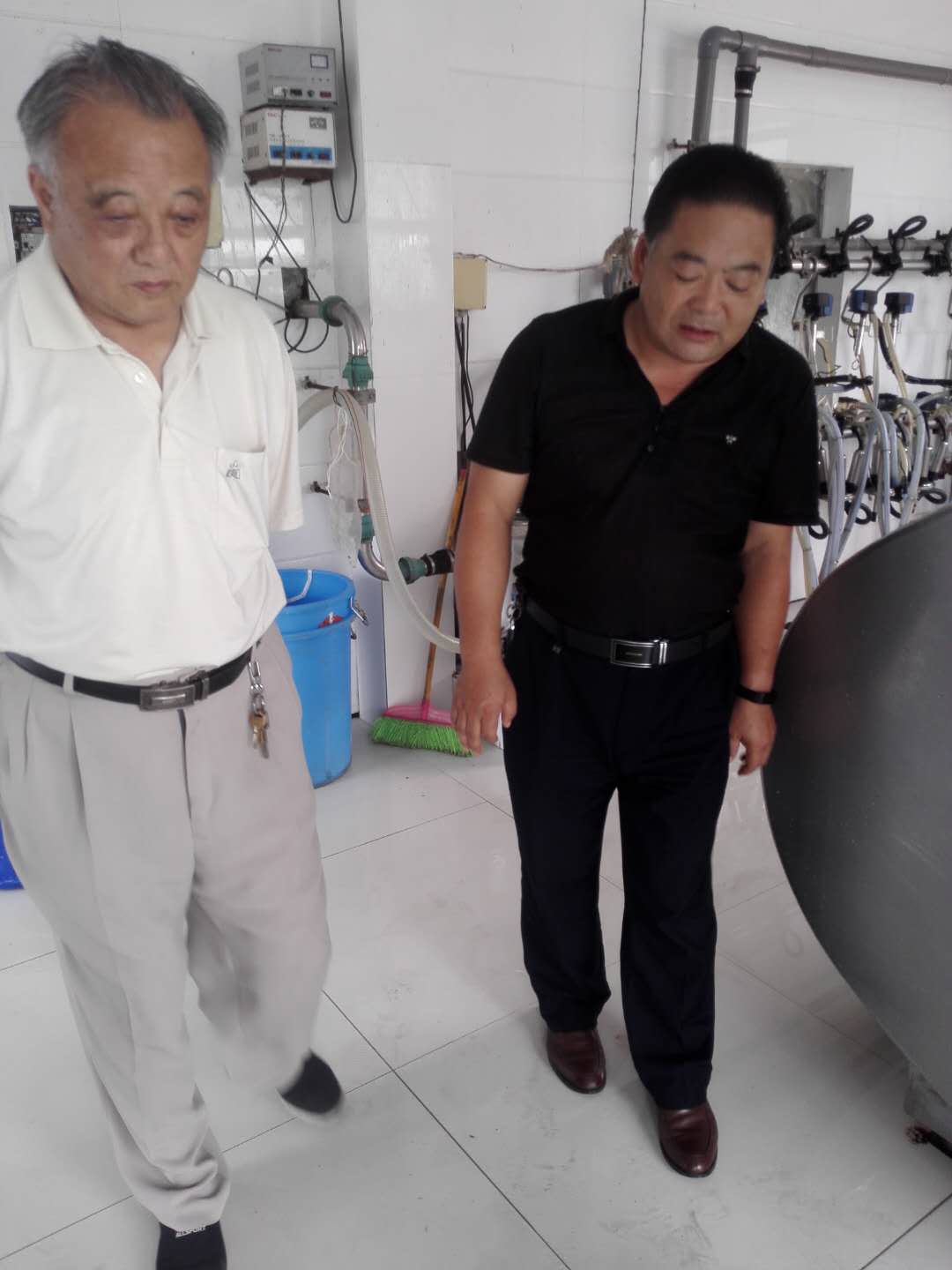 六合区三会在竹镇卫竹奶牛场调研市区支持竹镇乌石村增收基金使用落实情况