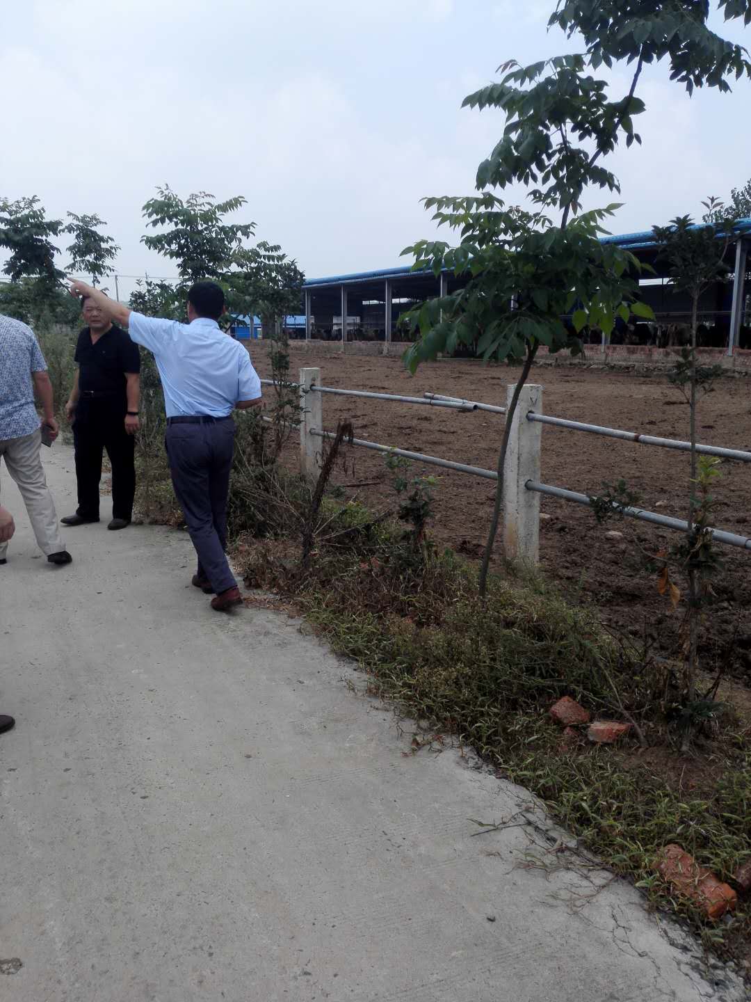 六合区三会在竹镇卫竹奶牛场调研市区支持竹镇乌石村增收基金使用落实情况