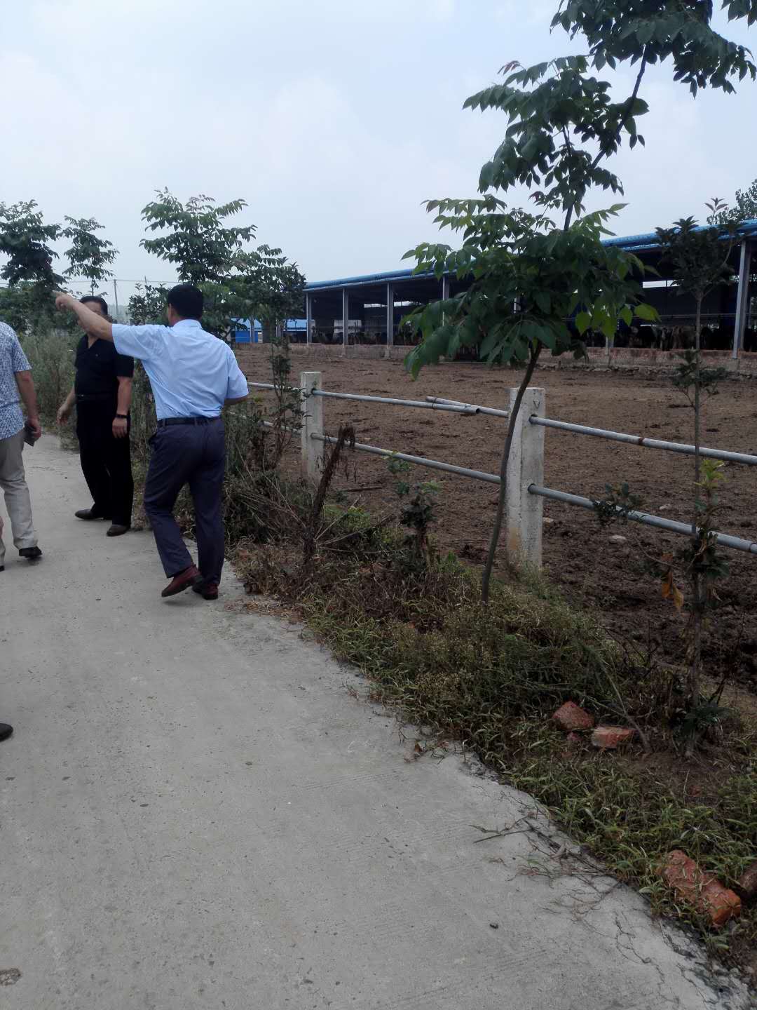 六合区三会在竹镇卫竹奶牛场调研市区支持竹镇乌石村增收基金使用落实情况