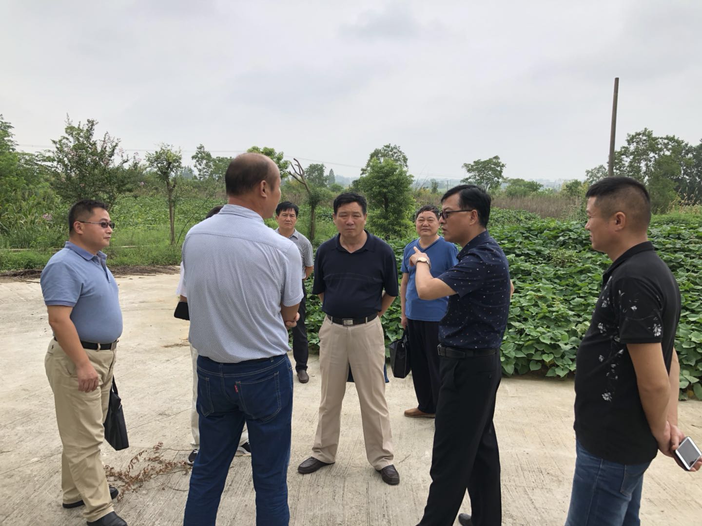 江宁区三会为合作社与企业牵线搭桥有力地推动了该合作社的产业发展